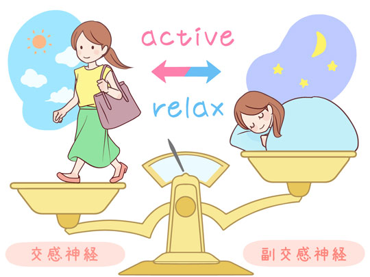交感神経と副交感神経の図
