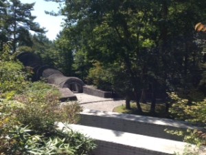 %E5%86%99%E7%9C%9F-1